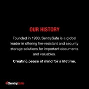 SentrySafe CHW30200 Fire-Resistant And Water-Resistant Box Safe With Tubular Key Lock, 0.36 Cu. Ft.
