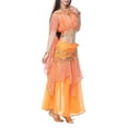 thumbnail image 2 of BellyLady Belly Dance Hip Scarf 158 Gold Coins Dance Skirt-Orange, 2 of 4
