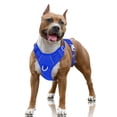 thumbnail image 1 of Arnés para perros BARKBAY No Pull Air Mesh Reflectante, tamaño grande, azul, 1 of 9