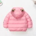 thumbnail image 3 of 1-6Y Toddler Boys Girls Winter Warm Hooded Puffer Coat Jacket Kids Casual Zipper Thickened Snow Clothes Overcoat Outerwear With Pockets, 3 of 8