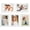 White, variant on 5PCS Magnetic Photo Frames, Refrigerator Magnets Hold 3.5x5 Inches Picture for Home Office School Lock Storage
