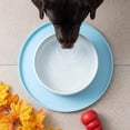 thumbnail image 5 of Round Silicone Pet Food Mat - Waterproof Dog & Cat Feeding Mat with High Lip to Prevent Spills & Protect Floors (Blue, 7''Dia), 5 of 6