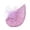 Purple_002, variant on Bmisegm Hair Accessories for Women Polka Dot Floral Mesh Fascinator Hat for Party Headpiece Fascinators Hats for Women Tea Party One Size