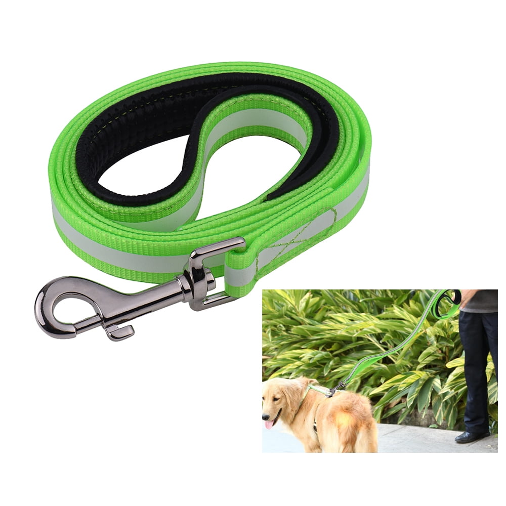 safety dog leash