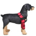 thumbnail image 2 of Pet Front Leg Compression Hock Wraps Soporte de articución de para perro S Rojo - S Yuyangstore Soporte de la rodilla del perro, 2 of 8