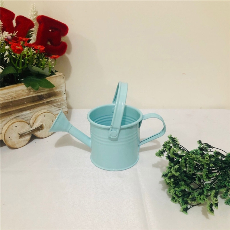 lanema 6Pcs Vibrant Mini Watering Can With Handle Durable Galvanized Iron For Garden
