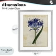 thumbnail image 4 of Stupell Industries Shabby Chic English Botany Blue Floral Gray Framed Print Under Glass, 13 x 16, by Susan Arnot, 4 of 8