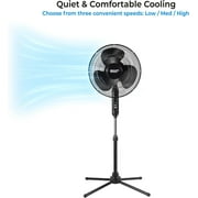 Comfort Zone 16 in. 3-Speed Adjustable-Height Pedestal Fan, Black
