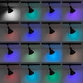 thumbnail image 4 of FSLiving Black Ceiling Spotlight Remote Control with Color Changing RGB Tunable White A19 Smart Bulb H Track Mounted for Kitchen Island Shopwindow Disco Ball (Ceiling Track Sold Separately) - 1 Light, 4 of 8