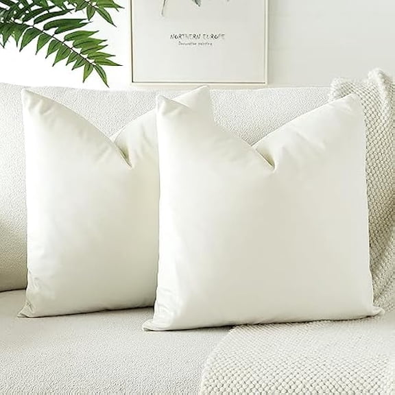 Eryueer Soft Velvet Decorative Throw Pillow Covers 24x24 Inch Solid Square Cushion Covers 60x60 cm Pillowcases Cushion Case for Sofa Couch Living Room Bedroom Home Decor Set of 2 (Cream White)