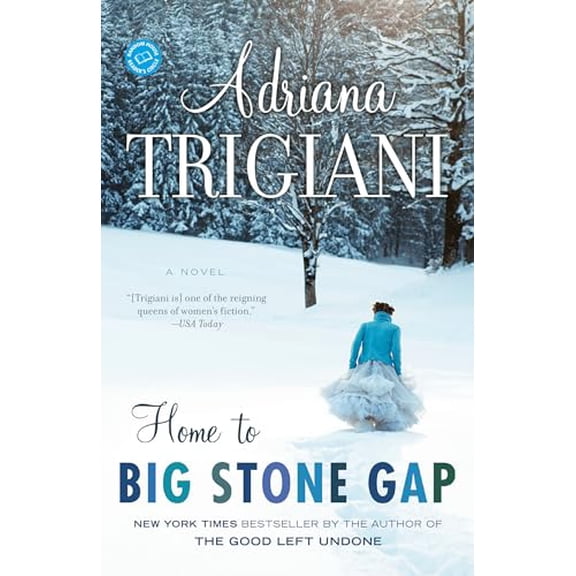 Pre-Owned Home to Big Stone Gap (Paperback) by Adriana Trigiani