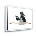 thumbnail image 3 of Designart 'White Stork Ciconia Flying Bird ' Traditional Framed Canvas Wall Art Print, 3 of 5