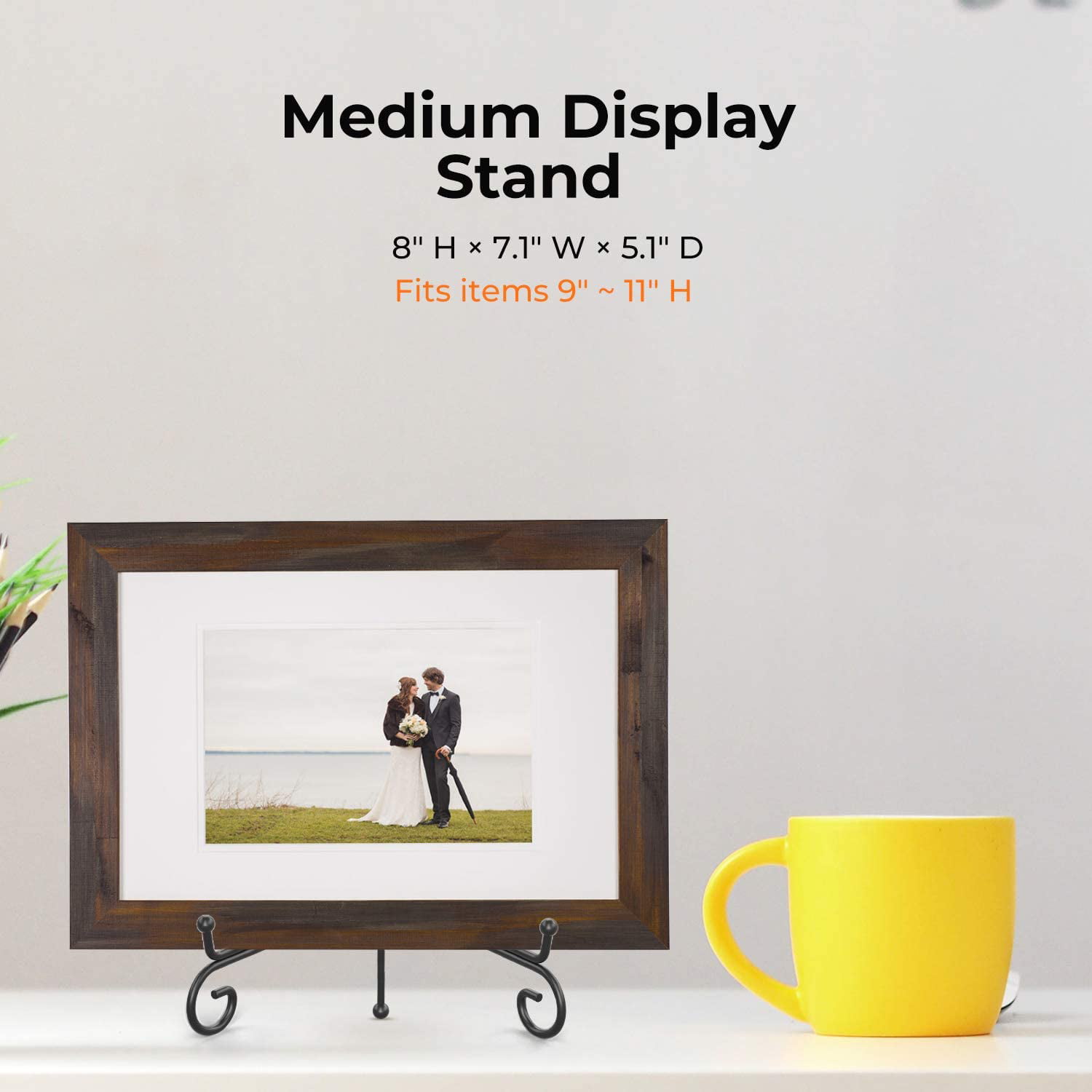 TR-LIFE 3 Pack 4.5 Inch Plate Stands for Display - Plate Holder Display  Stand + Metal Frame Holder Stand for Picture, Decorative Plate, Platter,  Book