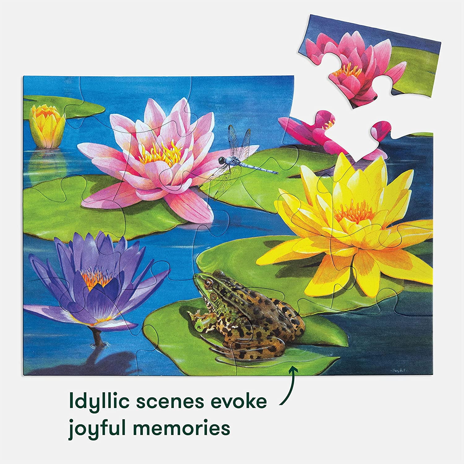 Relish 13 Piece Lily Pond Dementia Jigsaw Puzzle – Alzheimer's Products &  Dementia Activities/Gifts for Seniors - Walmart.com