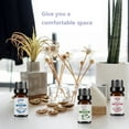 thumbnail image 3 of 10ml Essential Oil Permeable Calm Emotion Non-Irritating Water Soluble Rose Diffuser Oil for Indoor, 3 of 10