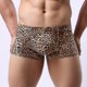 thumbnail image 1 of Ropa interior de ángulo plano que absorbe el sudor y cintura baja con estampado de leopardo para hombre, 1 of 3