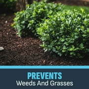 IMAGE Casoron Weed Preventer Granules Herbicide, RTU, 8 lb.