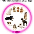 thumbnail image 4 of USB Rechargeable LED Dog Collar Glowing pet Dog Collar for Night Safety  Water Resistant Cuttable TPU Light Up Collars Fashion Light up Collar for Small Medium Large Dogs, 4 of 5