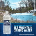 thumbnail image 4 of Ice Mountain Spring Water, 20 fl oz, Single Plastic Bottle, 4 of 5