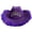 A, variant on Vintage Country Western Fedoras Hat Cowgirls Hat Furry Trims Cowgirls Hat for Party Photo Props Headwaer Gifts