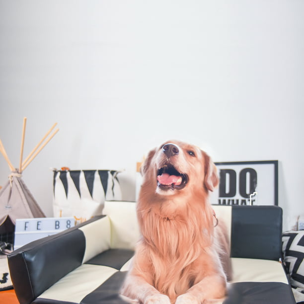 Sy Chaise Style Large Dog Beds W, Leather Dog Sofa Large