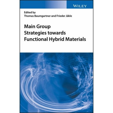 Main Group Strategies Towards Functional Hybrid Materials (Hardcover)