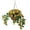 Yellow/Orange, variant on Fully Assembeld Pansy Hanging Basket by OakRidge
