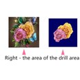 thumbnail image 4 of Pintura de diamante flor DIY bordado punto de cruz Floral imagen de diamantes de imitación decoración del hogar regalo Speravity JJ12249-00, 4 of 5