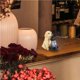 thumbnail image 5 of Kearding Perro innovador Luz solar con energía solar Adorable Cachorro doméstico Estatuilla Decoración de jardín Resina Exterior Interesante Lámpara Iluminación y accesorios Kearding HA014887-00, 5 of 6