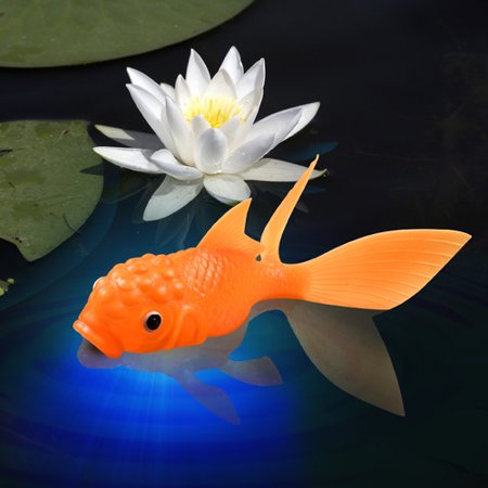 - Fred & Friends KOI TOY Light-Up Bath Goldfish
