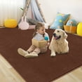 thumbnail image 6 of Memoryfield Ultra Soft Area Rug, 5'x7' Fluffy Non Slip Carpet for Living Room Bedroom Home Decor, Brown, 6 of 10