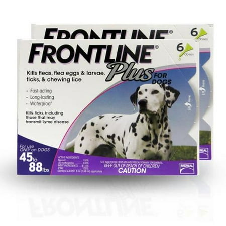 frontline for dogs walmart merial 26834 3m frontline plus for dogs 45 88 lbs 12 month supply purple walmart frontline for dogs walmart merial 26834 3m frontline plus for dogs 45 88 lbs 12 month supply purple walmart