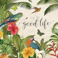 thumbnail image 2 of Gango Home Decor Tropical Parrot Paradise IV & Parrot Paradise V by Katie Pertiet (Ready to Hang); Two 12x12in Brown Framed Prints, 2 of 5
