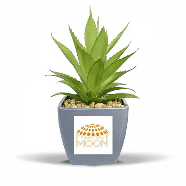 line figure dome cove Fake Pineapple Flower Pot Vase Mini Decor