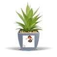 thumbnail image 1 of Tradition Chinese Fish Lucky Fake Pineapple Flower Pot Vase Mini Decor, 1 of 3