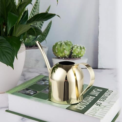 Gold Watering Can for Indoor Plants, Orchid, Bonsai - Stainless Steel With Long Spout for House, Desk, Office - 15oz/450ml