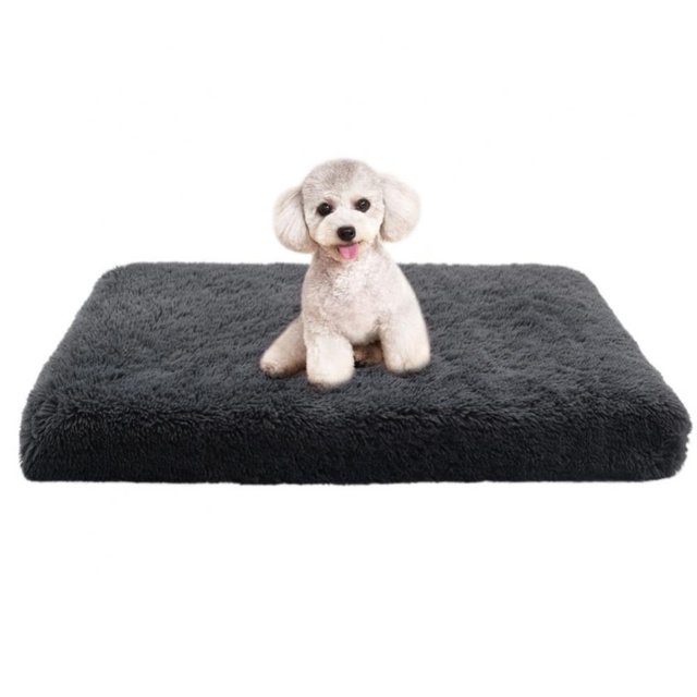Large Dog Bed for Medium Large Dogs, Orthopedic EggCrate Foam Dog Beds