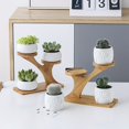 thumbnail image 4 of 1pc Tiered Plant Stands Succulent Pot Small Plant Shelf Stand For Indoor Plants Mini, 4 of 4