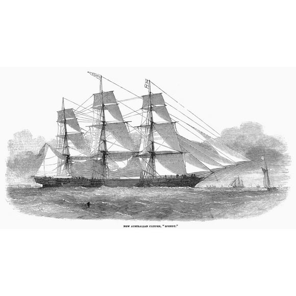 Clipper Ship, 1853. /Nthe Australian Clipper 'Speedy.' Wood Engraving, English, 1853. Poster Print by (24 x 36)