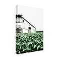 thumbnail image 2 of Blue Palomino 'Barn In Crop Rows Half' Canvas Art, 2 of 3