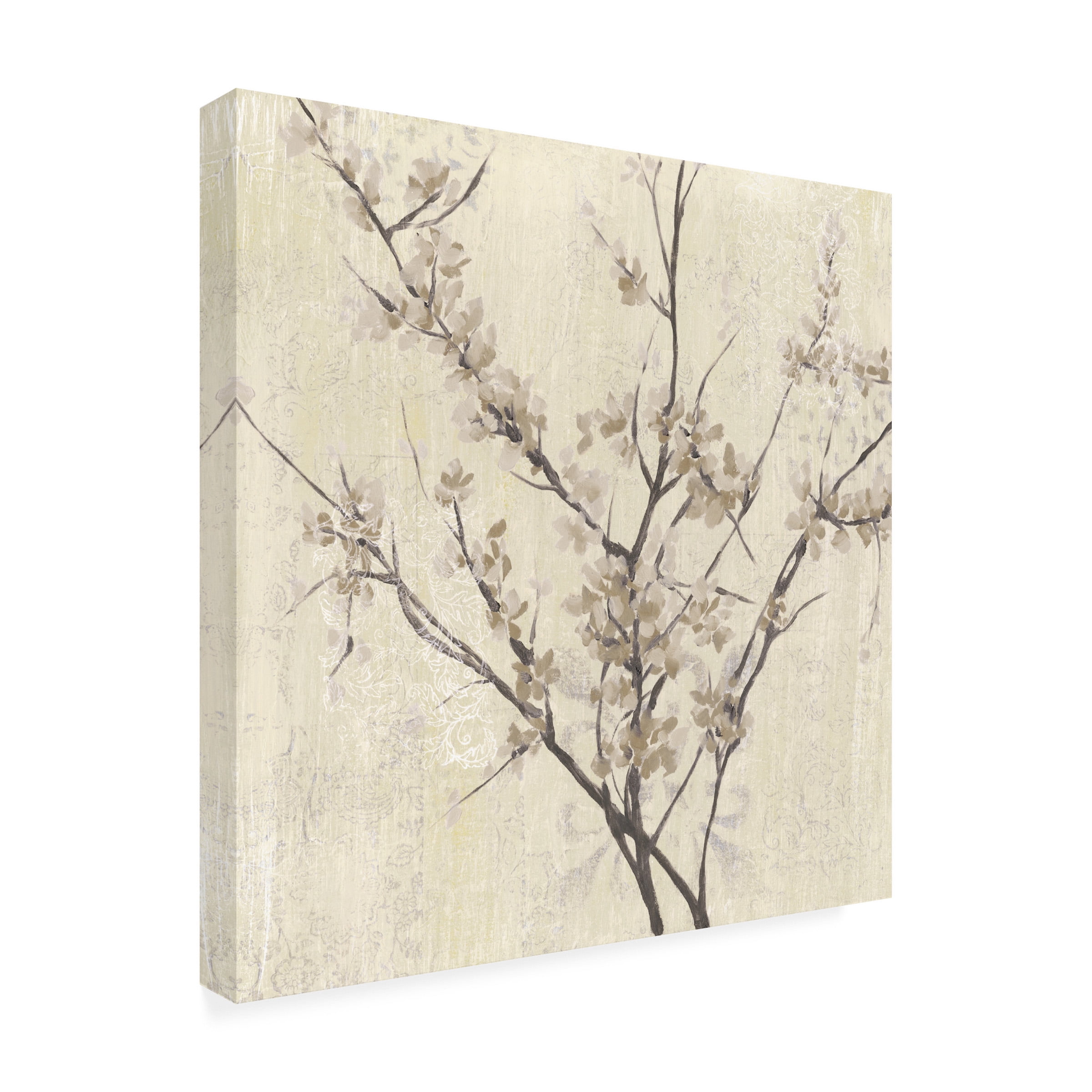 Jennifer Goldberger 'Neutral Blossoms On Cream I' Canvas Art