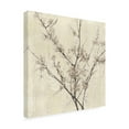 thumbnail image 2 of Jennifer Goldberger 'Neutral Blossoms On Cream I' Canvas Art, 2 of 3