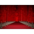 thumbnail image 2 of ABPHOTO Polyester 7x5ft Luxurious Stage Backdrop Interior Hollywood Backdrops Bokeh Glitter Sequins Fancy Curtain Red Carpet Photography Background for Baby Wedding Ceremony Photo Studio Props, 2 of 3