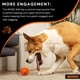 thumbnail image 4 of Juguete de Bola Bionic Mediano Interactivo para Perro, 4 of 7