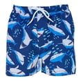 thumbnail image 4 of Athletic Shorts for Men Drawstring Elastic Waistband Printed Swim Shorts, 4 of 4