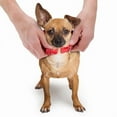 thumbnail image 3 of BrybellyHoldings ACLR-001 Small Red Adjustable Reflective Dog Collar, 3 of 7