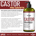 thumbnail image 3 of Hair Chemist Castor Pro-Growth Conditioner 33.8 oz., 3 of 8