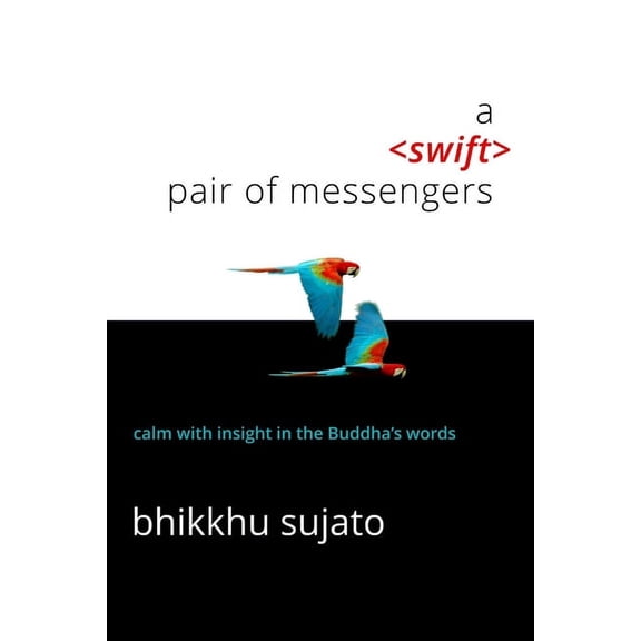 A Swift Pair of Messengers (Paperback)