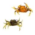 thumbnail image 1 of 2 Uds., Señuelo de Cangrejo, Cebo , Señuelo Suave, Cebo 3D, Señuelo Artificial, Anzuelo Macarena Señuelos de pesca de cangrejo, 1 of 8