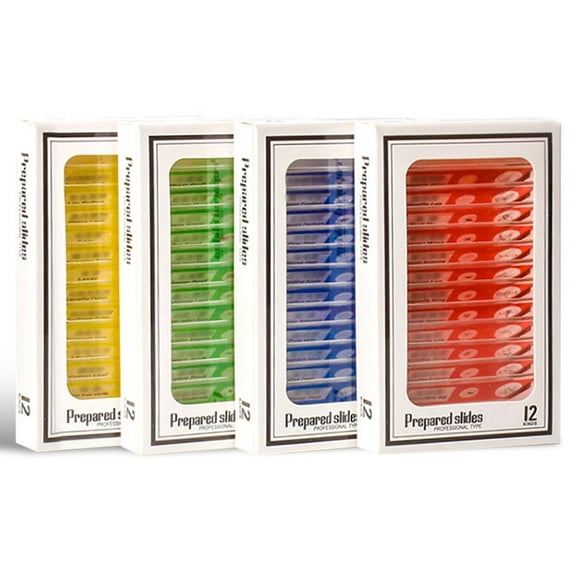 48 Pcs Diapositives de Microscope en Plastique Transparentes Préparées avec Étiquette de Catégorie Insectes Animaux Plantes Échantillons Spécimens pour Étudiants Enfants Éducation en Sciences Biologiques